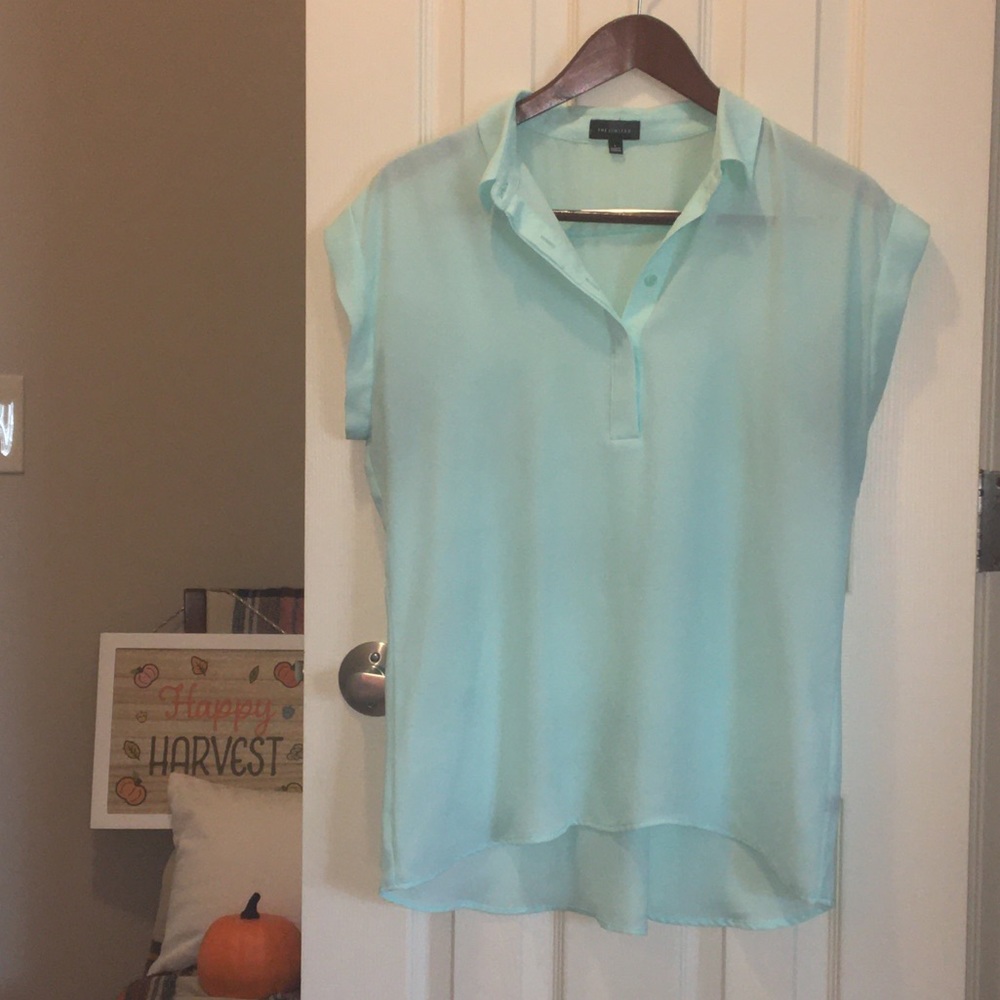 The Limited Dress Blouse
